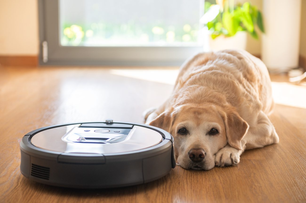 ロボット掃除機の横で伏せている犬