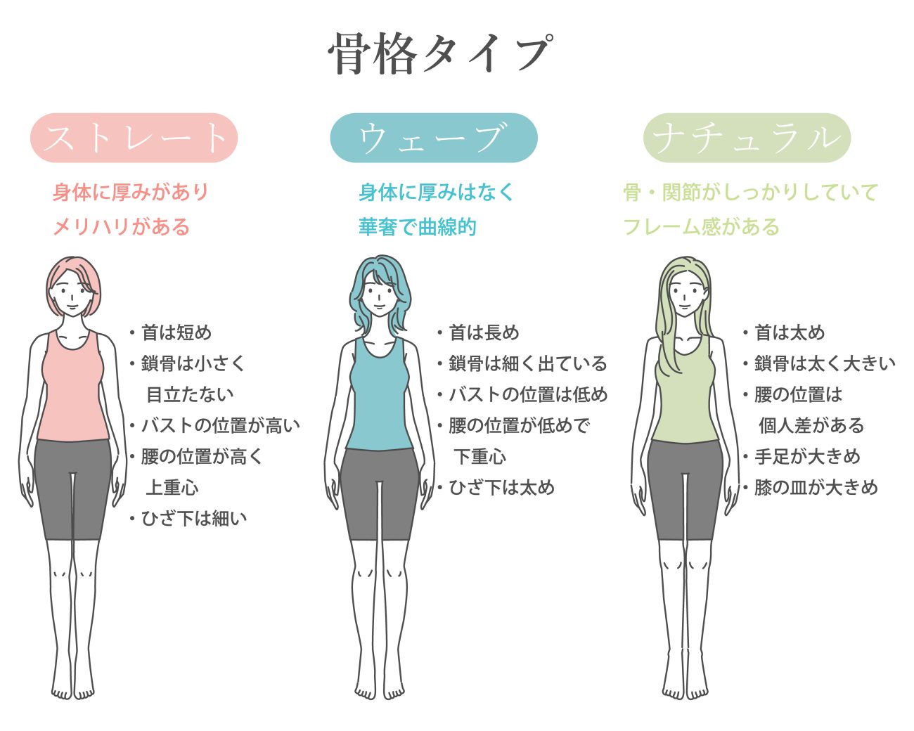 3種類ある骨格タイプのひとつ