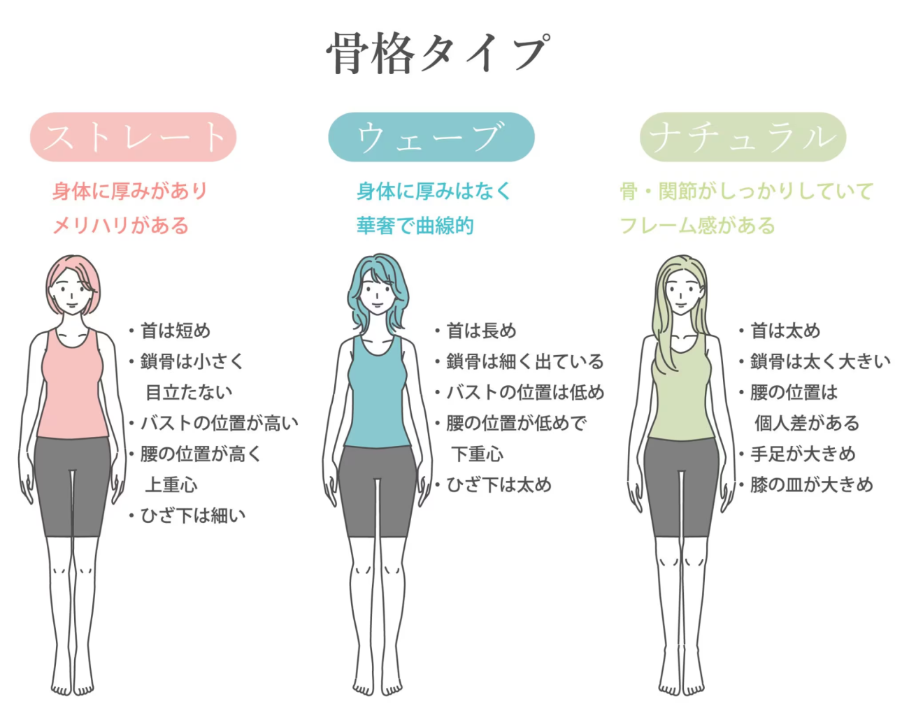 骨格ナチュラルとは？